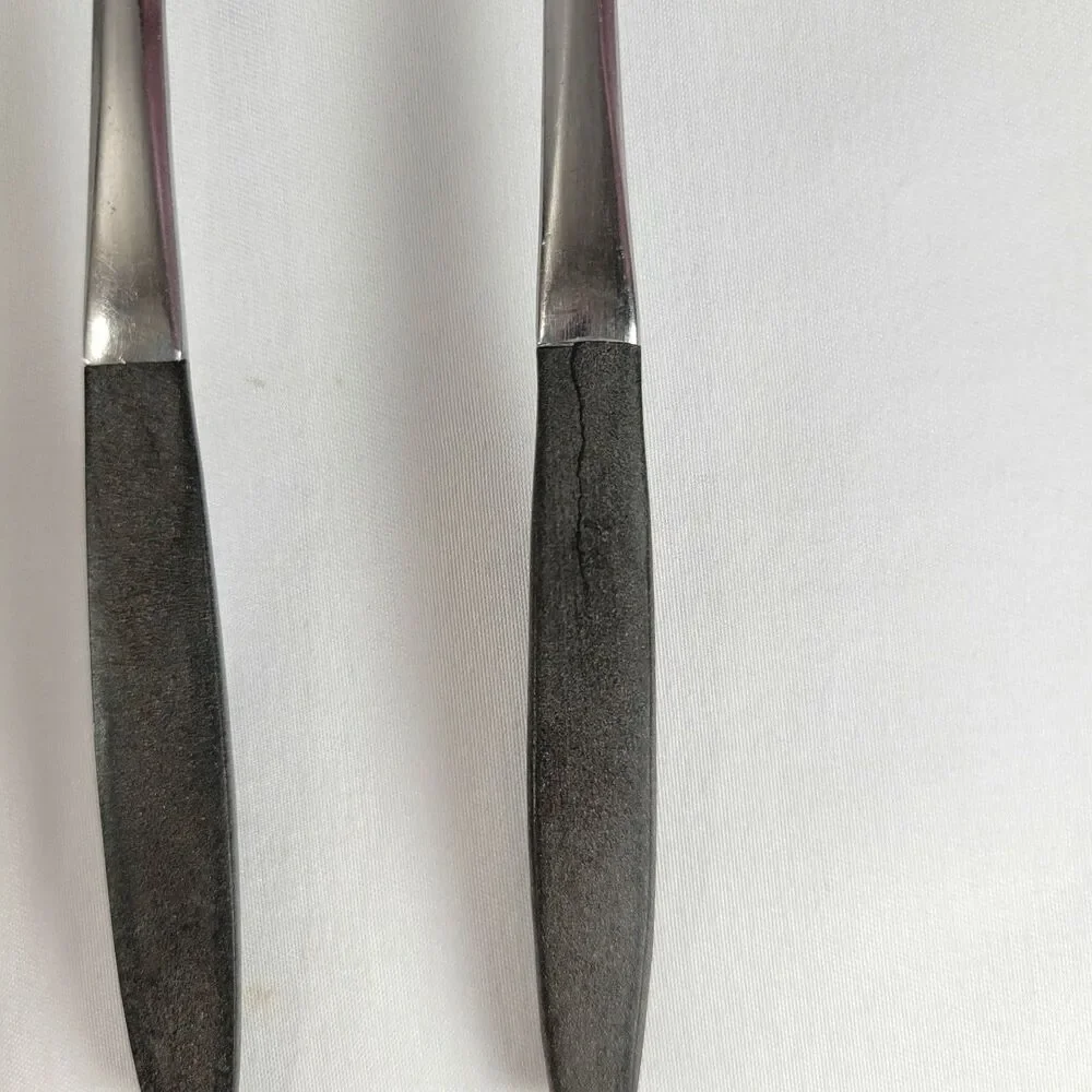 Kingston KGS2 Stainless Flatware Japan Black Handle MCM Minimalist 8-Piece Set